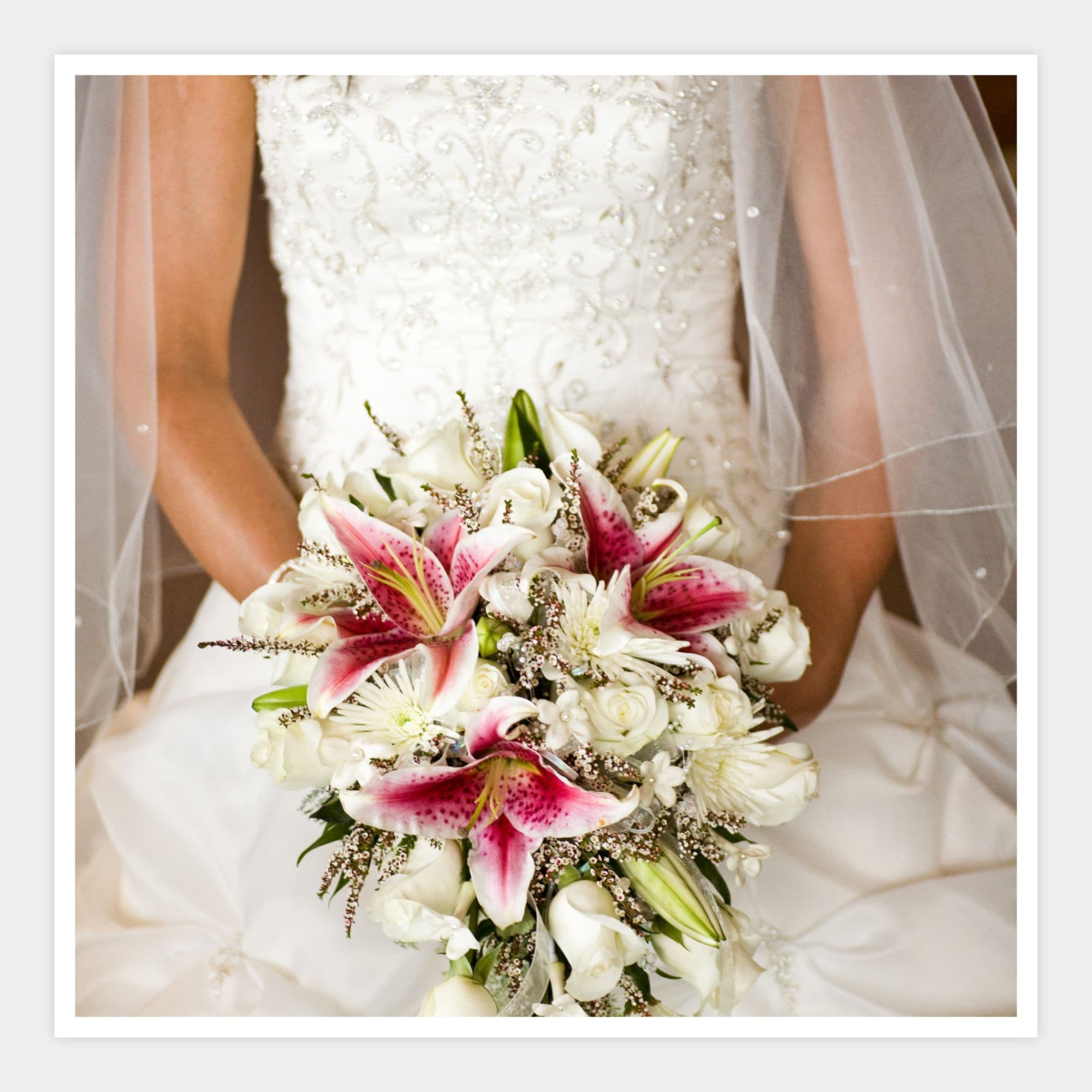 image of a 12x12 print with borders