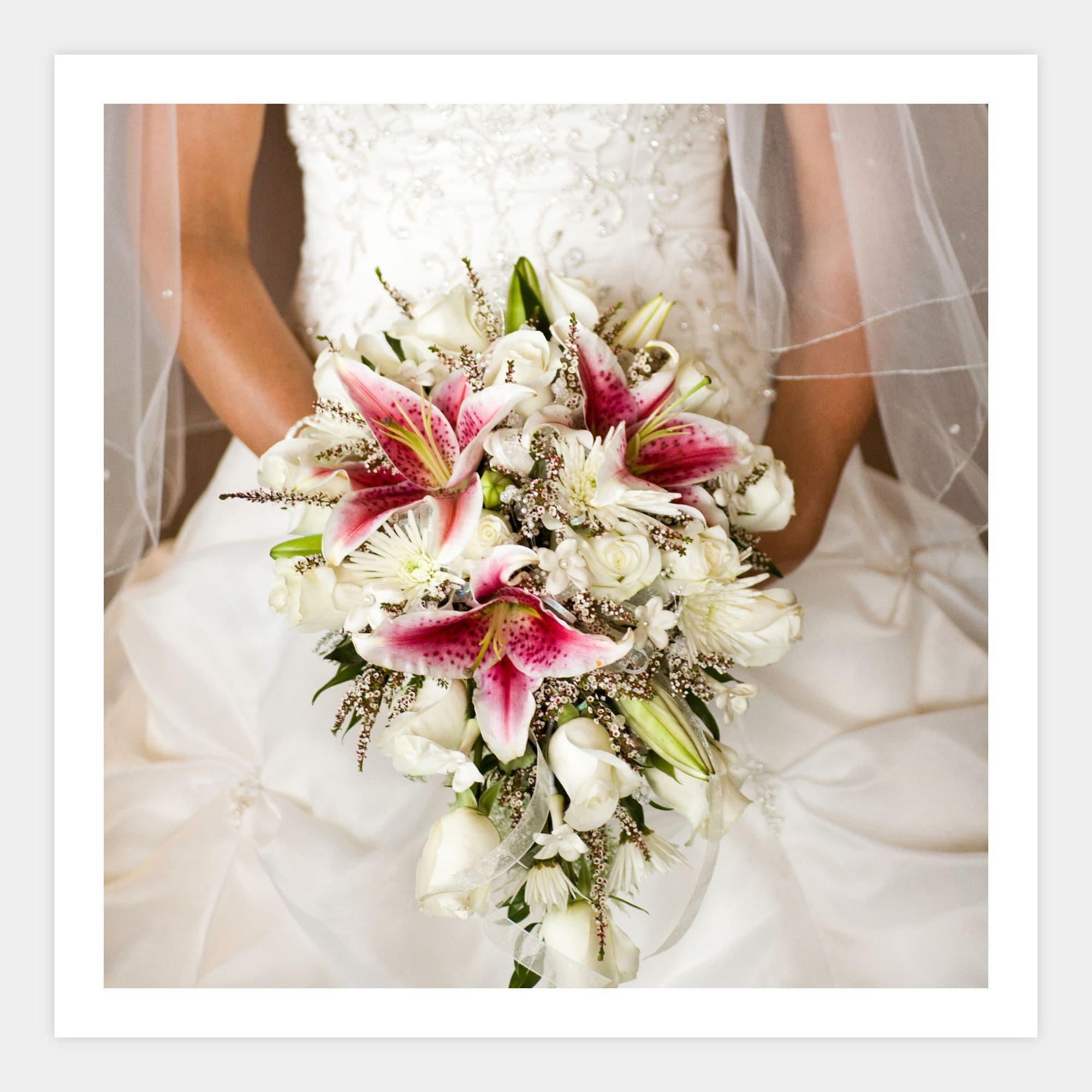 image of a 6x6 print with borders