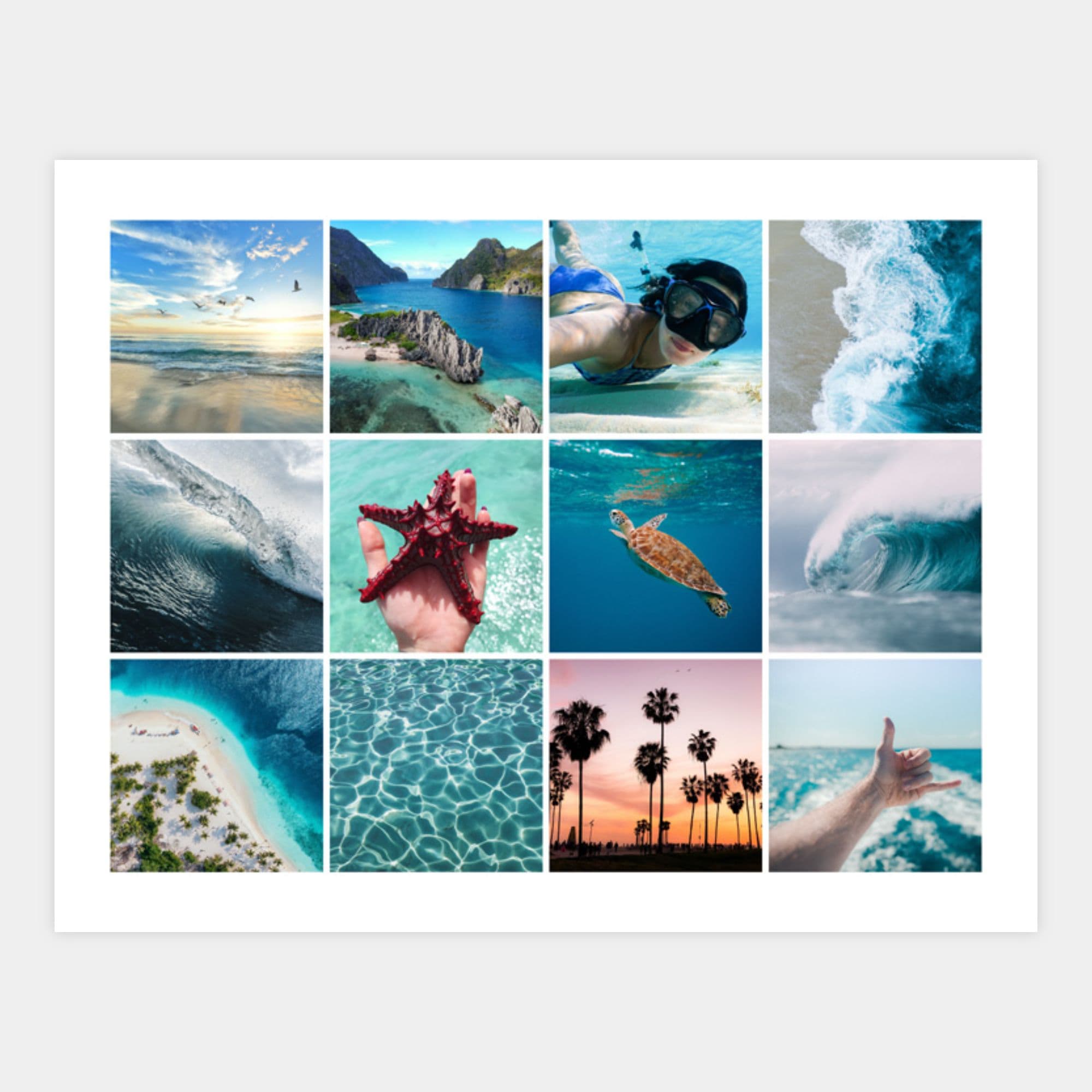 Image of a 12 image horizontal photo collage
