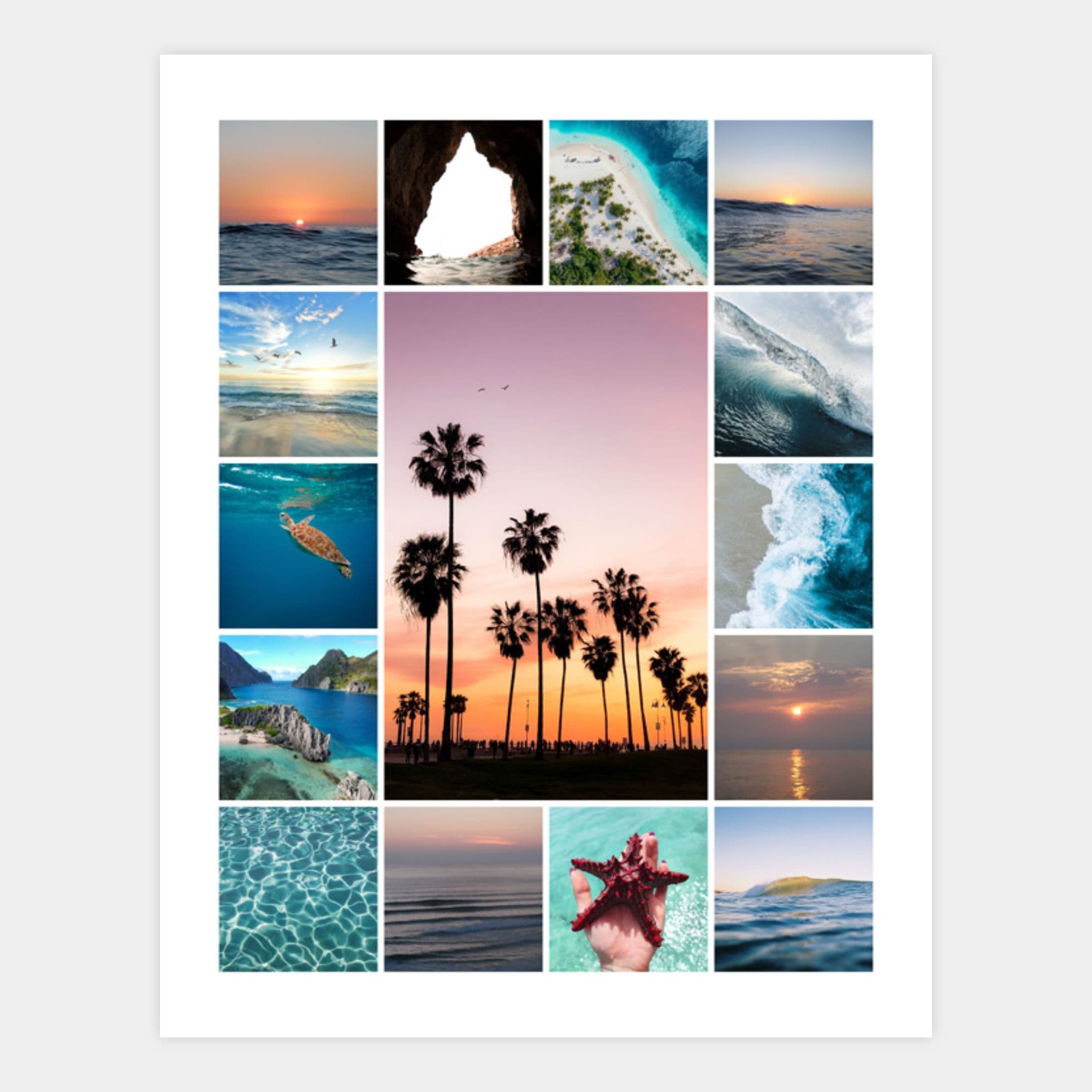 image of a 15 image collage, one large image in the center surrounded by smaller square images
